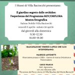 mostra fotografica sulle orchidee