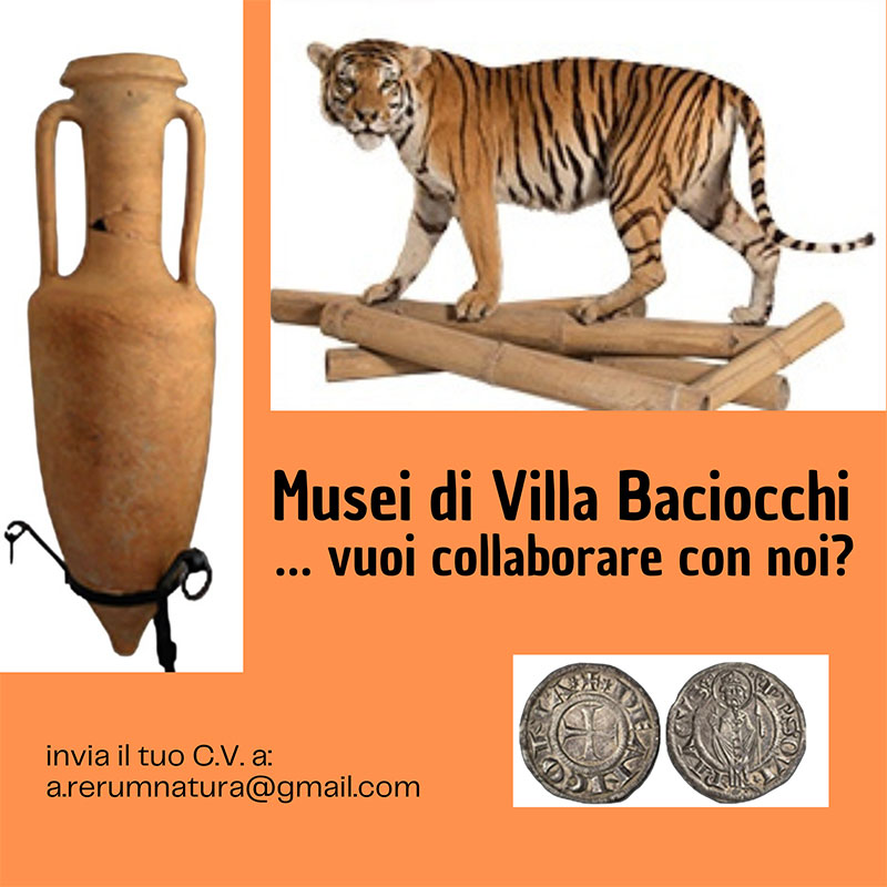 Ricerca Personale Museo